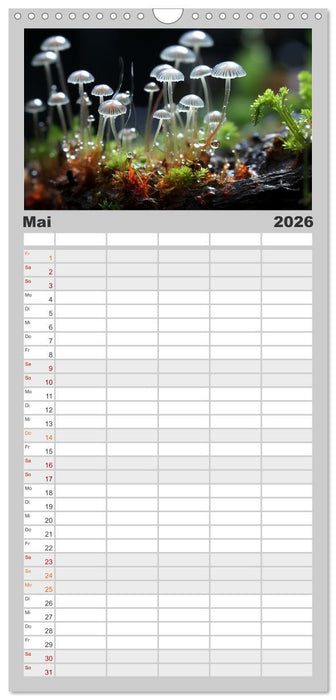 Wunderwelt Mikrokosmos (CALVENDO Familienplaner 2026)