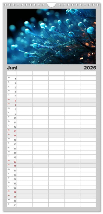 Wunderwelt Mikrokosmos (CALVENDO Familienplaner 2026)