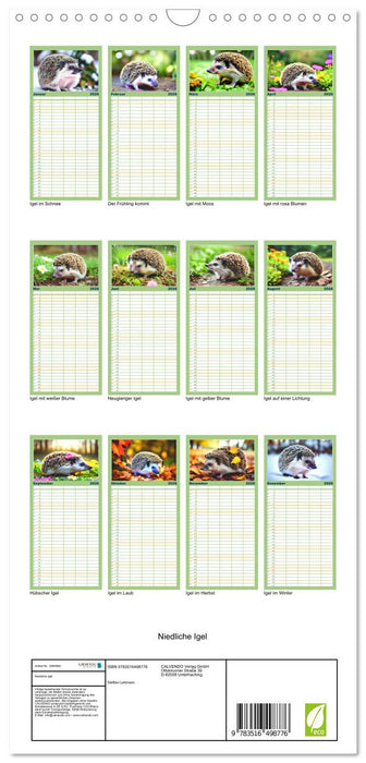 Niedliche Igel (CALVENDO Familienplaner 2026)