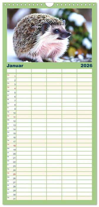 Niedliche Igel (CALVENDO Familienplaner 2026)