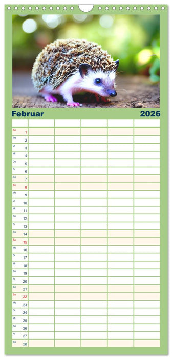 Niedliche Igel (CALVENDO Familienplaner 2026)