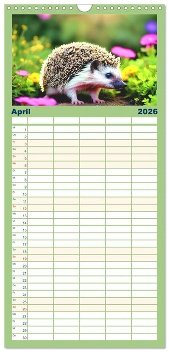 Niedliche Igel (CALVENDO Familienplaner 2026)