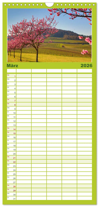 Wanderparadies Südpfalz (CALVENDO Familienplaner 2026)