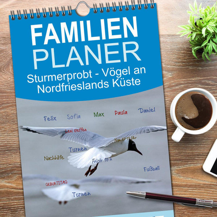 Sturmerprobt - Vögel an Nordfrieslands Küste (CALVENDO Familienplaner 2026)