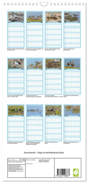Sturmerprobt - Vögel an Nordfrieslands Küste (CALVENDO Familienplaner 2026)