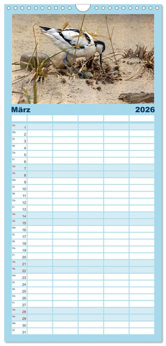 Sturmerprobt - Vögel an Nordfrieslands Küste (CALVENDO Familienplaner 2026)