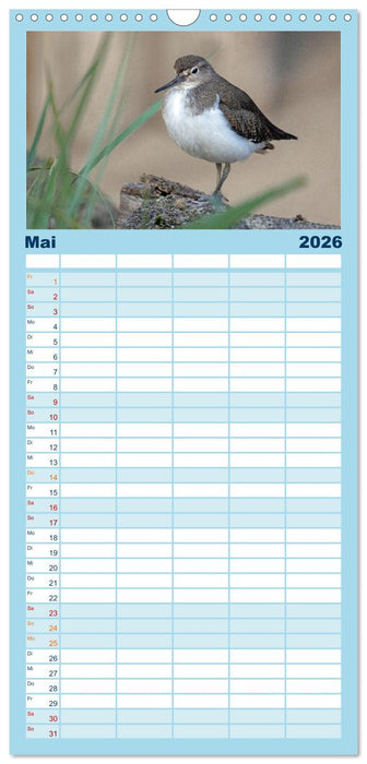Sturmerprobt - Vögel an Nordfrieslands Küste (CALVENDO Familienplaner 2026)