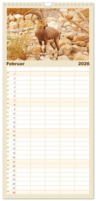 Zwischen Tradition und Moderne: Israel (CALVENDO Familienplaner 2026)