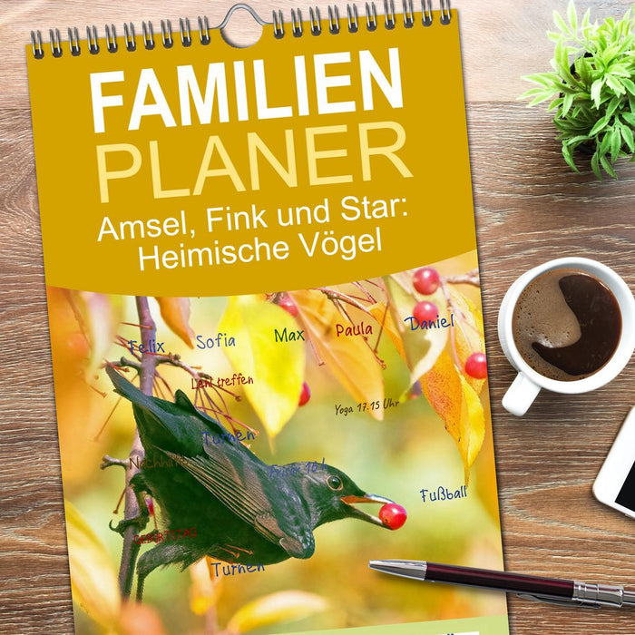 Amsel, Fink und Star: Heimische Vögel (CALVENDO Familienplaner 2026)