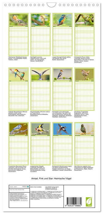 Amsel, Fink und Star: Heimische Vögel (CALVENDO Familienplaner 2026)