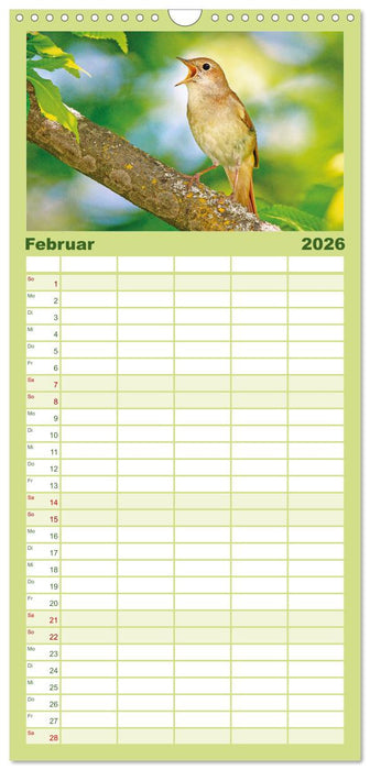 Amsel, Fink und Star: Heimische Vögel (CALVENDO Familienplaner 2026)