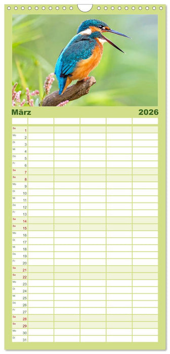 Amsel, Fink und Star: Heimische Vögel (CALVENDO Familienplaner 2026)