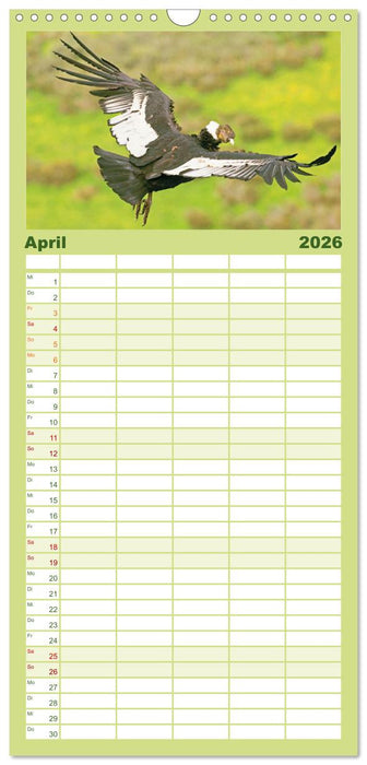 Peru: Natur mit Geschichte (CALVENDO Familienplaner 2026)