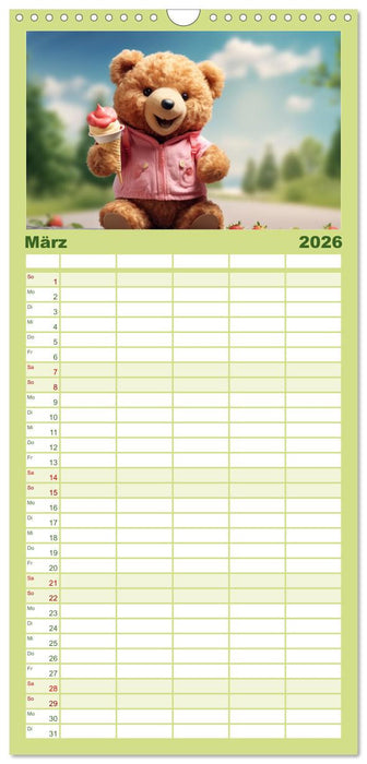 Teddybär und seine Abenteuer (CALVENDO Familienplaner 2026)
