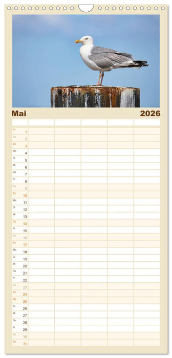 Vorpommern mit Rügen (CALVENDO Familienplaner 2026)