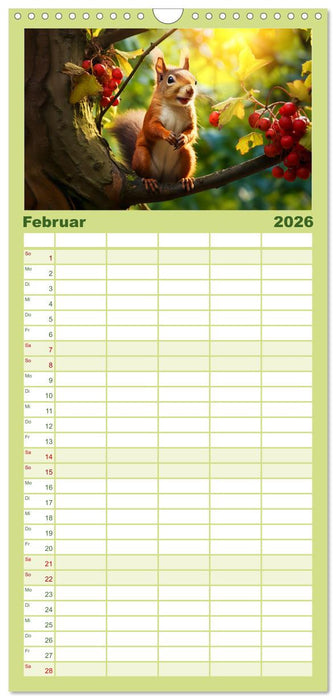 Wilde Nachbarn - Tierisches Treiben im Gartenparadies! (CALVENDO Familienplaner 2026)