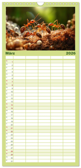 Wilde Nachbarn - Tierisches Treiben im Gartenparadies! (CALVENDO Familienplaner 2026)