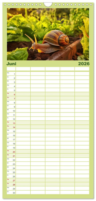 Wilde Nachbarn - Tierisches Treiben im Gartenparadies! (CALVENDO Familienplaner 2026)