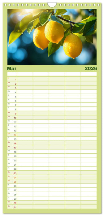 Sauer Gelb Lecker (CALVENDO Familienplaner 2026)