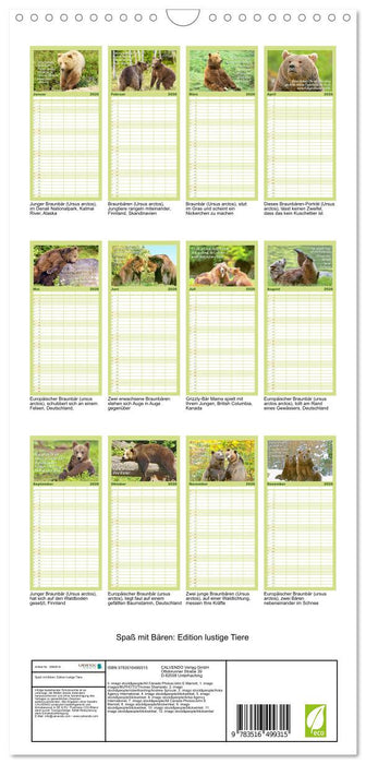 Spaß mit Bären: Edition lustige Tiere (CALVENDO Familienplaner 2026)