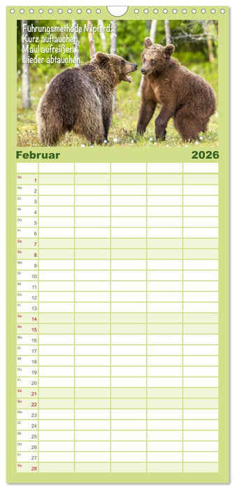 Spaß mit Bären: Edition lustige Tiere (CALVENDO Familienplaner 2026)