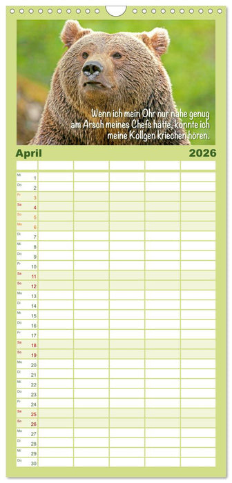Spaß mit Bären: Edition lustige Tiere (CALVENDO Familienplaner 2026)