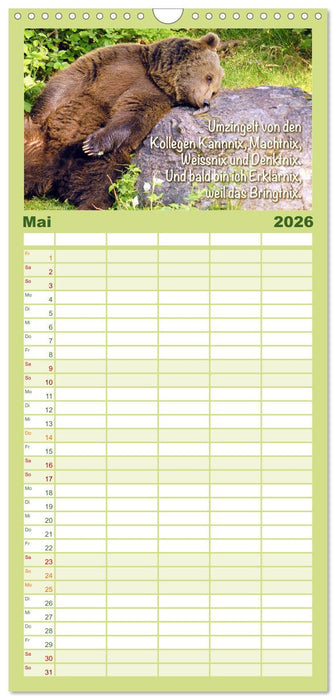 Spaß mit Bären: Edition lustige Tiere (CALVENDO Familienplaner 2026)