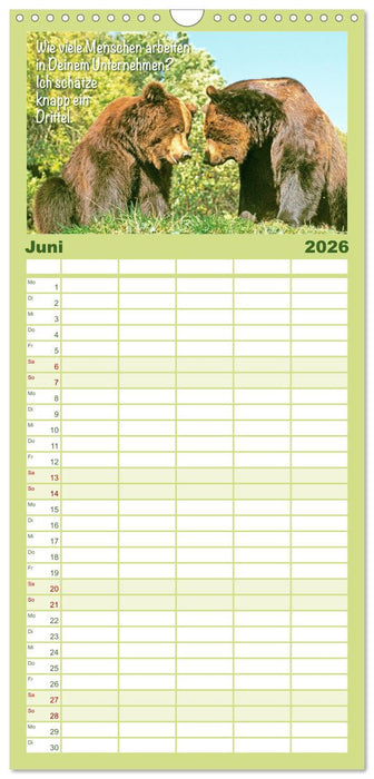 Spaß mit Bären: Edition lustige Tiere (CALVENDO Familienplaner 2026)