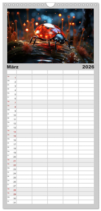 Magische Insekten (CALVENDO Familienplaner 2026)