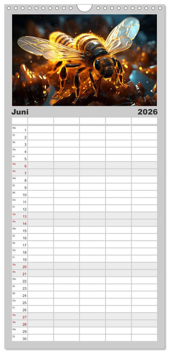 Magische Insekten (CALVENDO Familienplaner 2026)