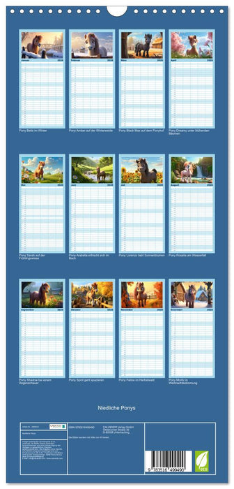 Niedliche Ponys (CALVENDO Familienplaner 2026)