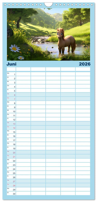 Niedliche Ponys (CALVENDO Familienplaner 2026)