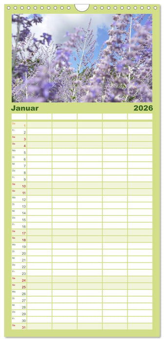 Garten von unten. Ein Perspektivwechsel (CALVENDO Familienplaner 2026)