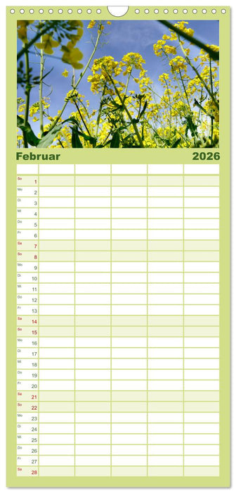 Garten von unten. Ein Perspektivwechsel (CALVENDO Familienplaner 2026)