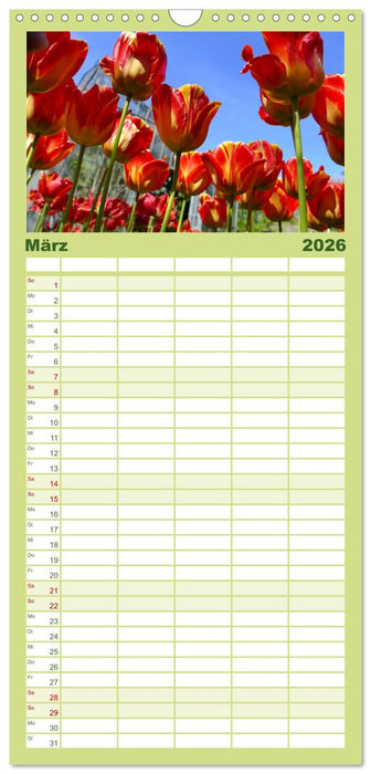 Garten von unten. Ein Perspektivwechsel (CALVENDO Familienplaner 2026)