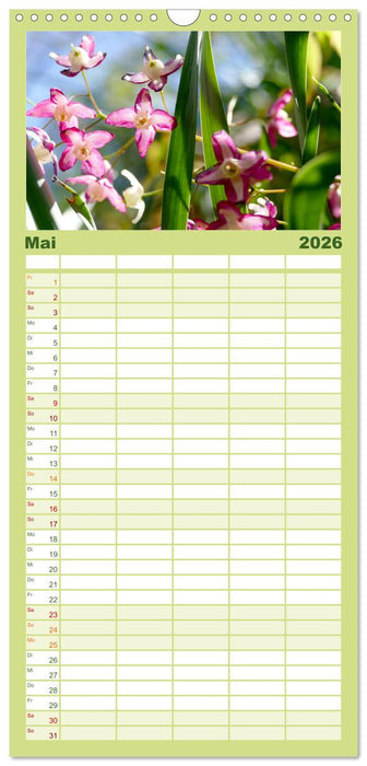 Garten von unten. Ein Perspektivwechsel (CALVENDO Familienplaner 2026)