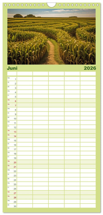 Irrgärten und Labyrinthe (CALVENDO Familienplaner 2026)