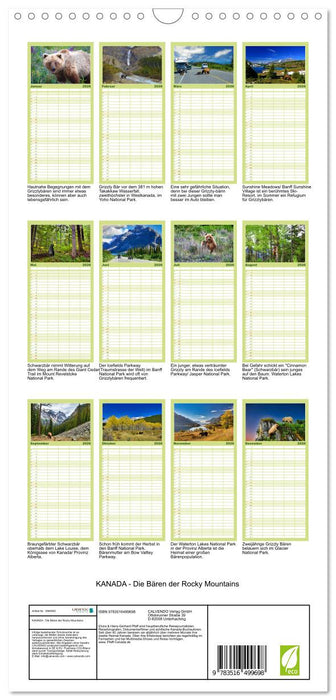 KANADA - Die Bären der Rocky Mountains (CALVENDO Familienplaner 2026)