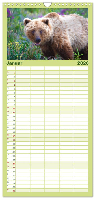 KANADA - Die Bären der Rocky Mountains (CALVENDO Familienplaner 2026)