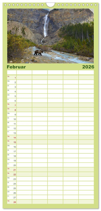 KANADA - Die Bären der Rocky Mountains (CALVENDO Familienplaner 2026)