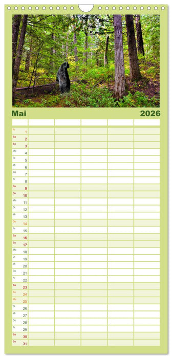 KANADA - Die Bären der Rocky Mountains (CALVENDO Familienplaner 2026)