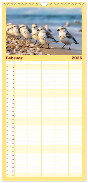 Die Magie der Masse (CALVENDO Familienplaner 2026)