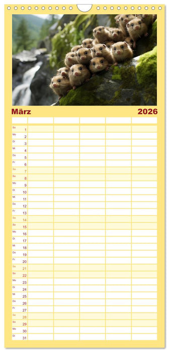 Die Magie der Masse (CALVENDO Familienplaner 2026)