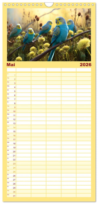 Die Magie der Masse (CALVENDO Familienplaner 2026)