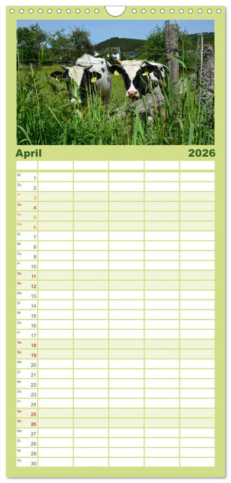 Lebenswertes Dedenborn (CALVENDO Familienplaner 2026)