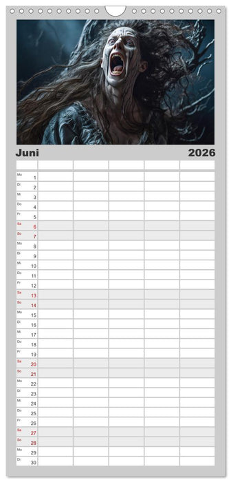 Im Land der Hexen und Hexer (CALVENDO Familienplaner 2026)