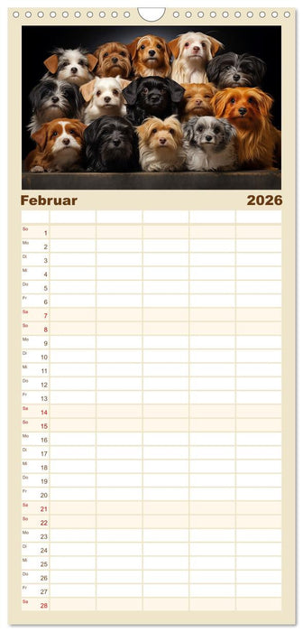 Mehr ist einfach besser (CALVENDO Familienplaner 2026)