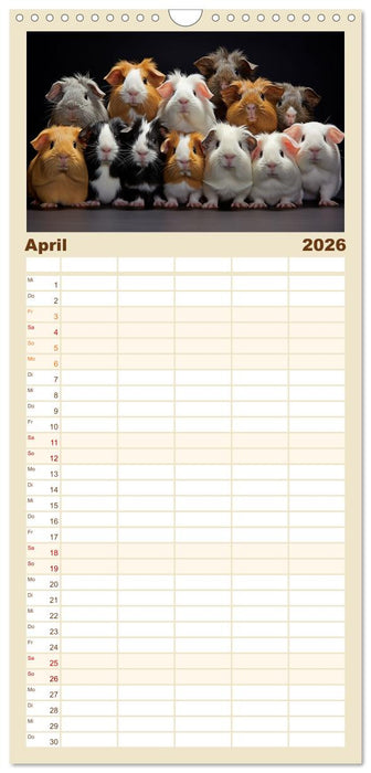 Mehr ist einfach besser (CALVENDO Familienplaner 2026)