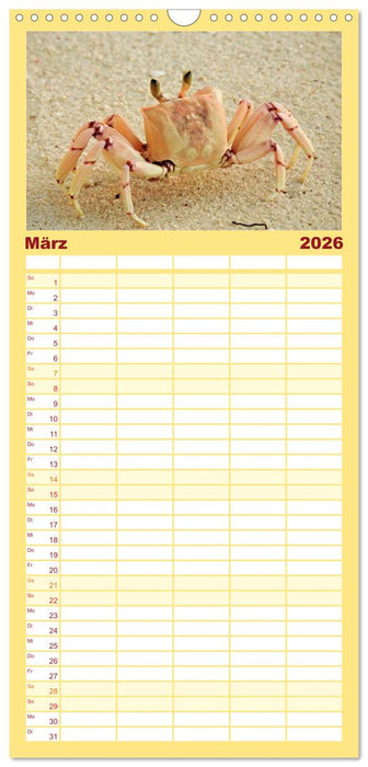 DIANI BEACH Strand Impressionen Kenia (CALVENDO Familienplaner 2026)