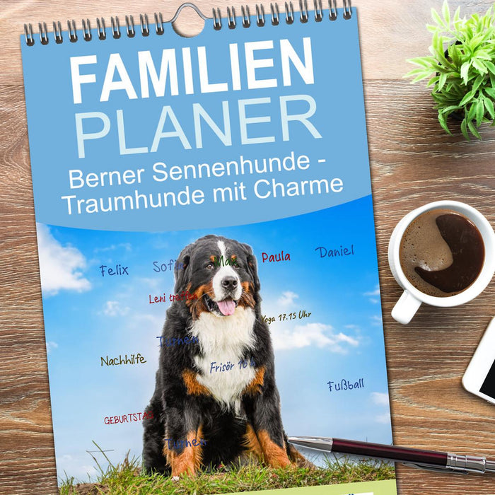 Berner Sennenhunde - Traumhunde mit Charme (CALVENDO Familienplaner 2026)